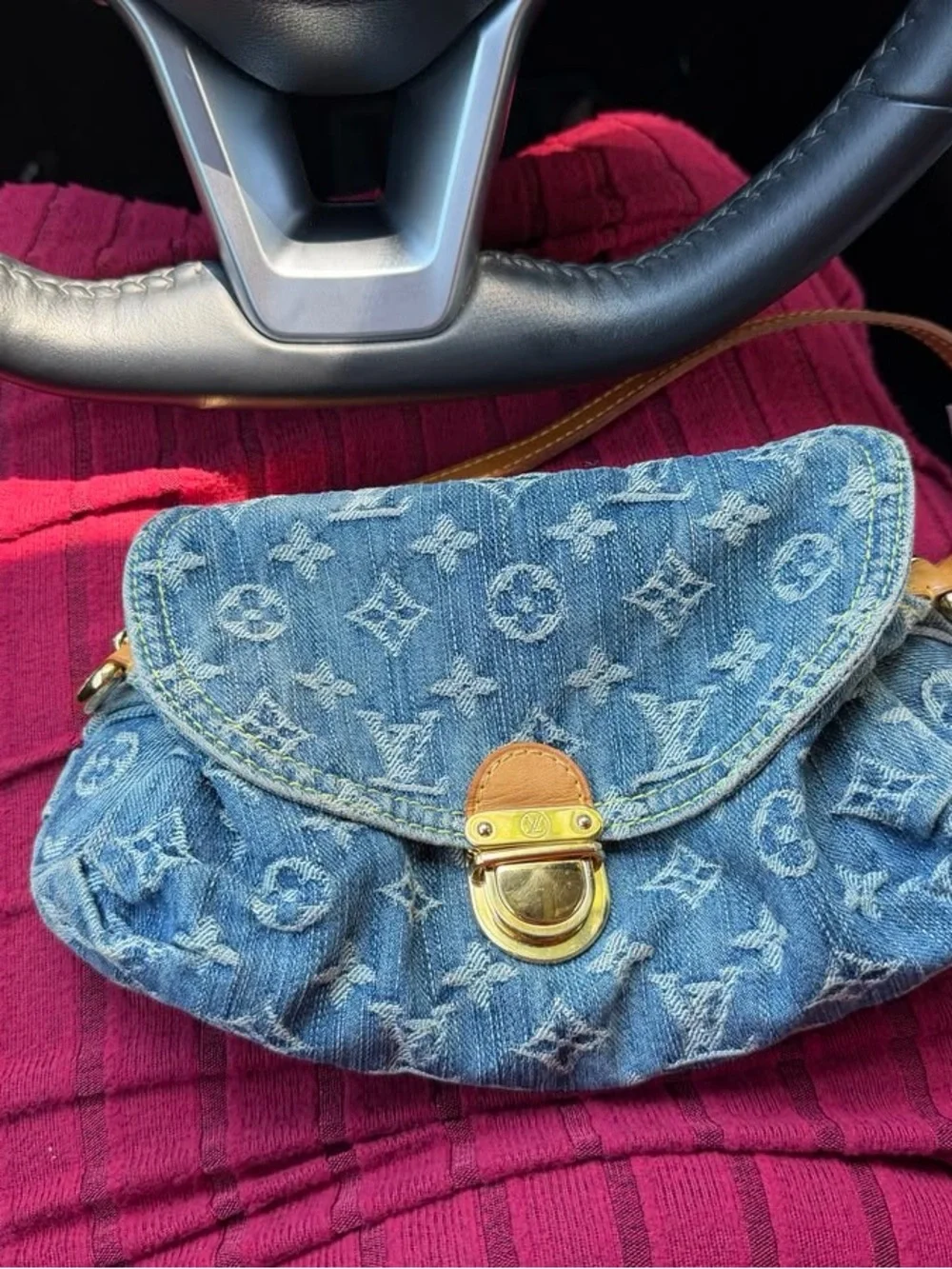 Louis Vuitton monogram pleaty bag